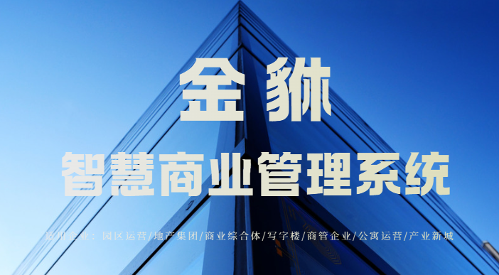 商管系统重构智慧商业：从单点管理到生态协同